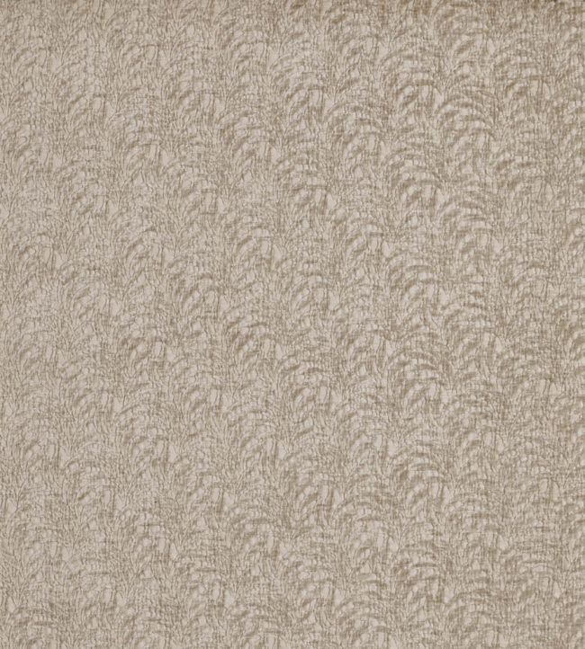 Casini Fabric by Prestigious Textiles Pumice