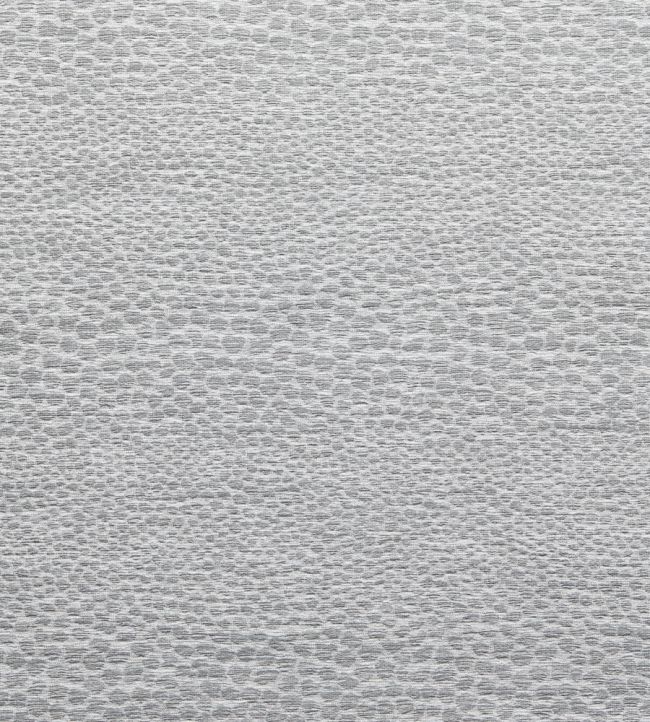 Castus Fabric by Clarke & Clarke Dove