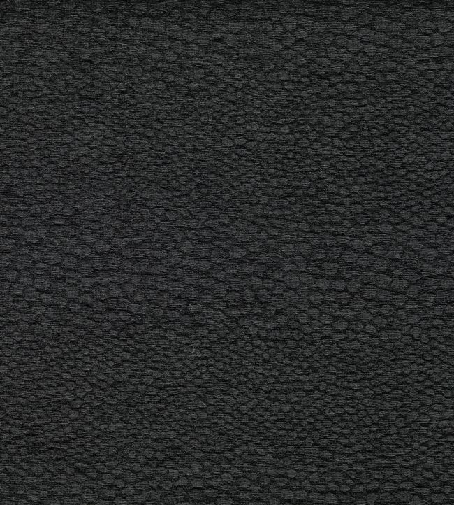 Castus Fabric by Clarke & Clarke Ebony