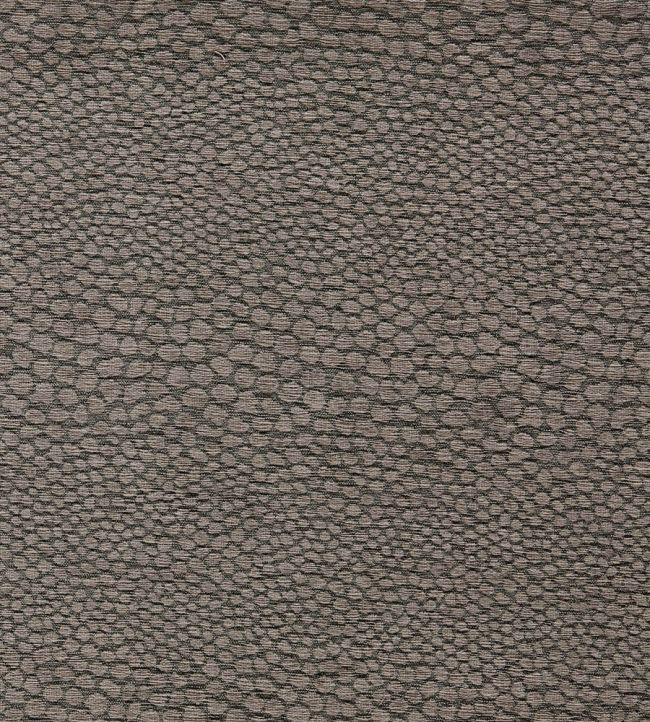 Castus Fabric by Clarke & Clarke Espresso