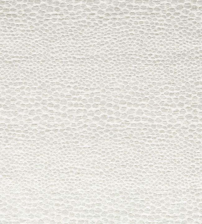 Castus Fabric by Clarke & Clarke Ivory