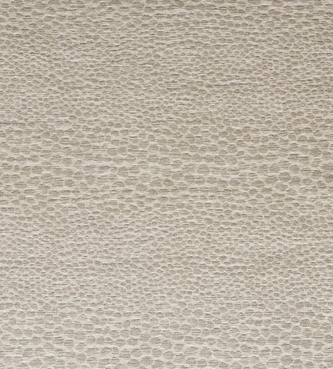 Castus Fabric by Clarke & Clarke Linen