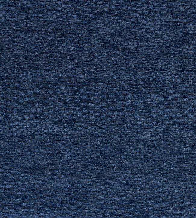 Castus Fabric by Clarke & Clarke Midnight
