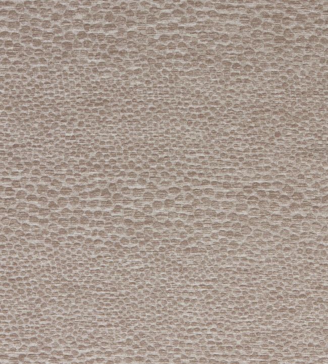 Castus Fabric by Clarke & Clarke Mink