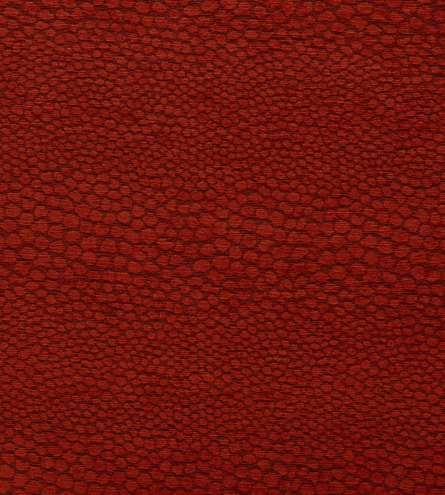 Castus Fabric by Clarke & Clarke Spice