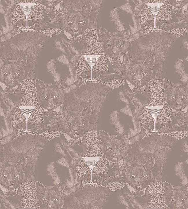 Cat-titude Wallpaper by Divine Savages Ginger Tom