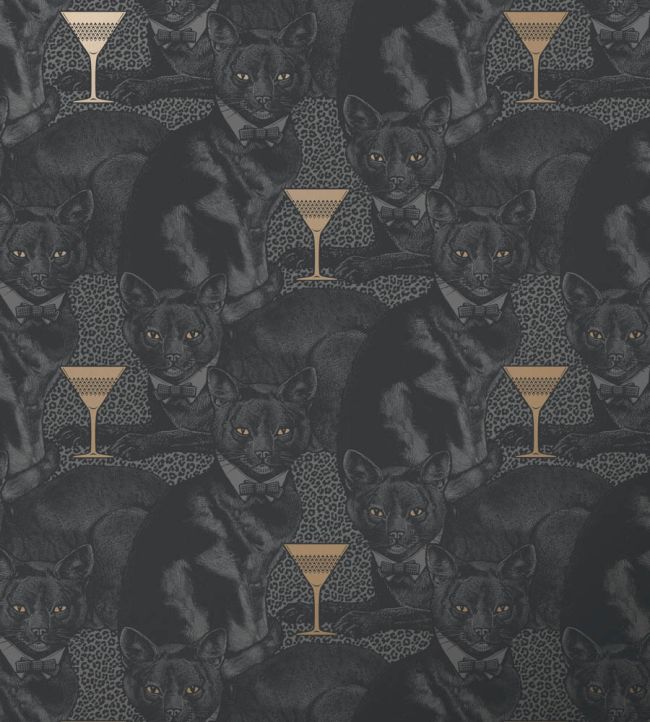 Cat-titude Wallpaper by Divine Savages Savage Shade