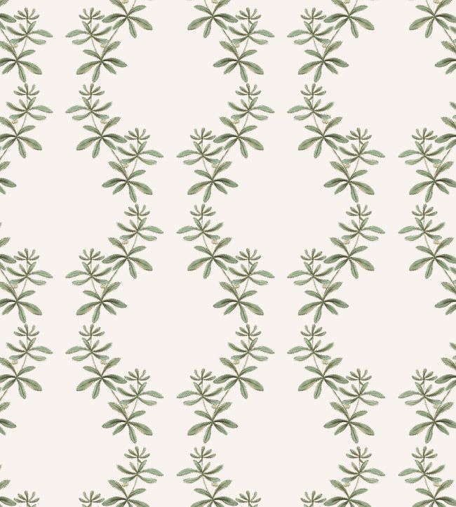 Catchweed Wallpaper by Ottoline Green