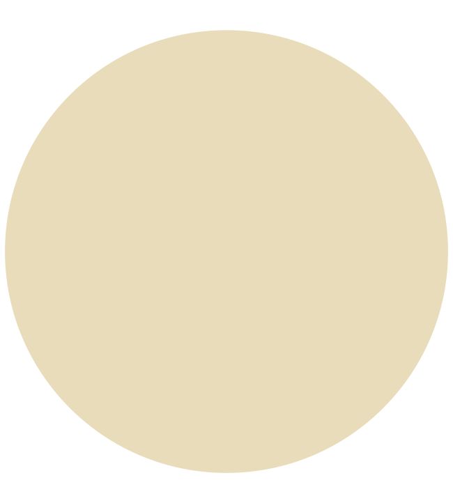 Cavendish Cream No.120 Marble Matt Emulsion Paint by Mylands Cavendish Cream No.120
