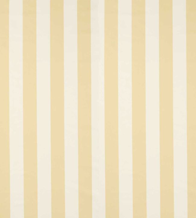 Central Stripe Fabric by Scion Buttercup