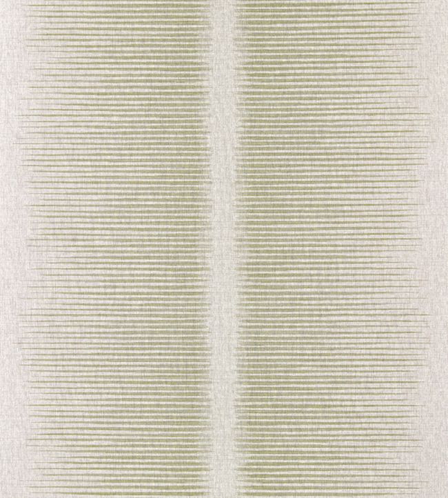 Chaco Wallpaper by Harlequin Olivine