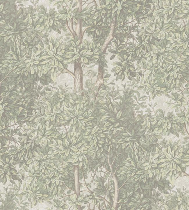 Charles Mural by Sandberg Light Green