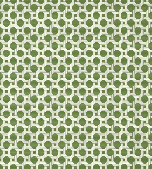 Charter Wallpaper by Thibaut Green