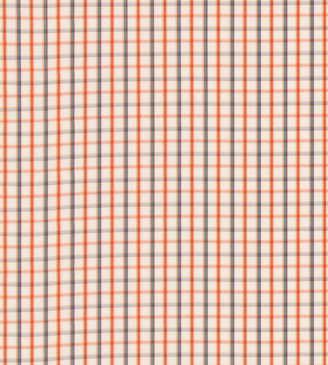 Checkers Fabric by George & Minnie Ink/Coral
