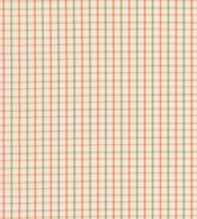 Checkers Fabric by George & Minnie Rose/Sage