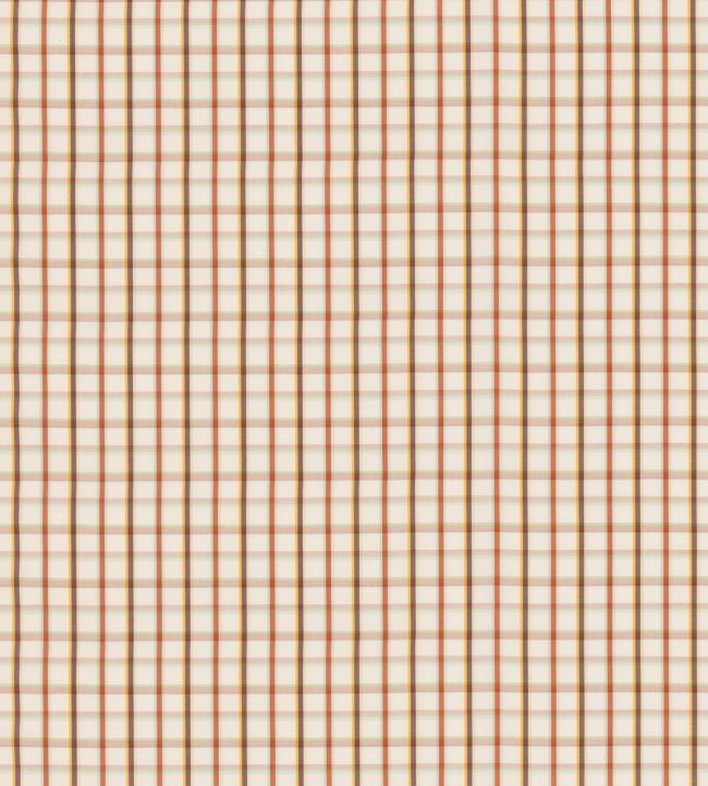 Checkers Fabric by George & Minnie Walnut/Aqua