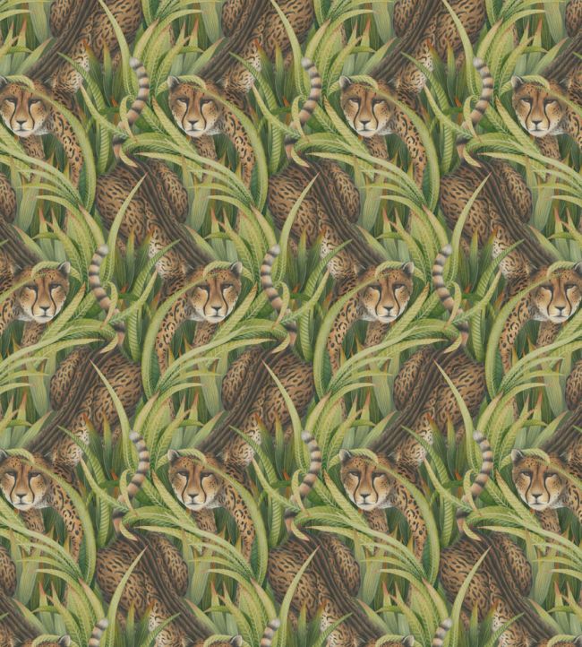Cheetah Prowl Wallpaper by Cole & Son Grass