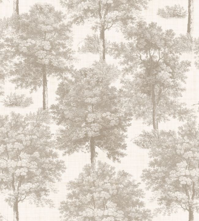 Chestnut Tree Wallpaper by Coordonne Ecru