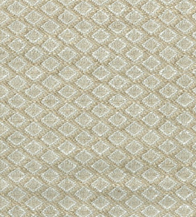 Chess Fabric by Titley and Marr Biscuit
