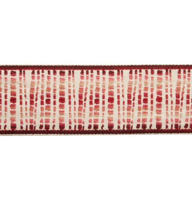 Cheyenne Ombre Border Trimming by Samuel & Sons Cactus Bloom