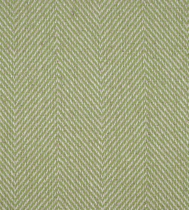 Chika Fabric by Sanderson Apple