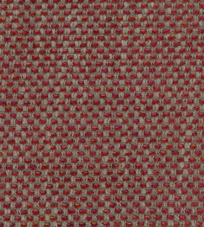 Chorus Fabric by Osborne & Little Carmine/Taupe