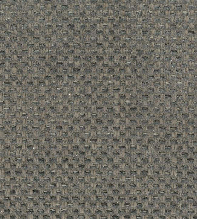 Chorus Fabric by Osborne & Little Elephant/Soot