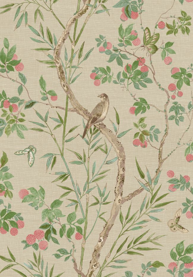 Claire Wallpaper by Thibaut Coral and Green