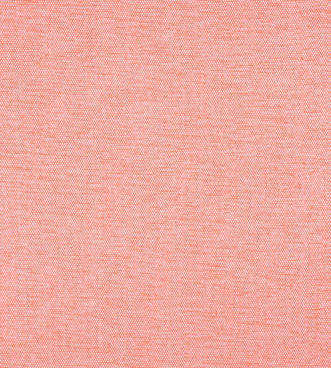 Clara Fabric by Thibaut Coral