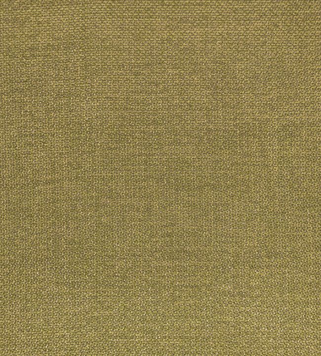 Clarendon Fabric by Zinc Cypress