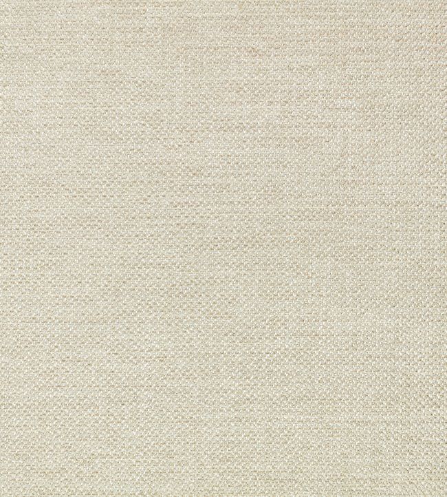 Clarendon Fabric by Zinc Spacedust