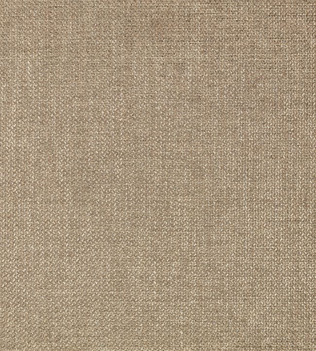 Clarendon Fabric by Zinc Tungsten