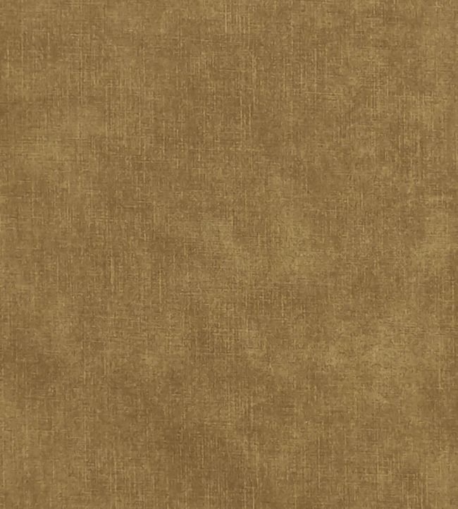 Martello Fabric by Clarke & Clarke Harvest