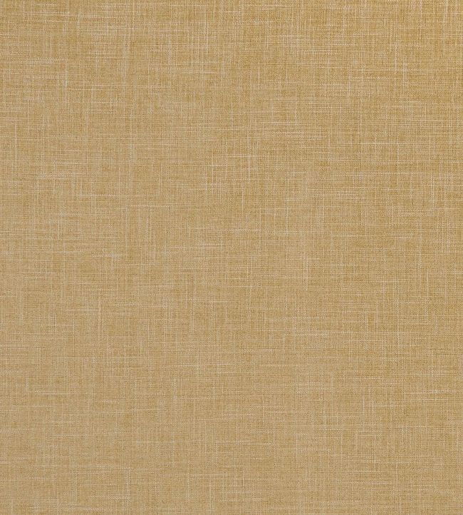 Albany Fabric by Clarke & Clarke Antique