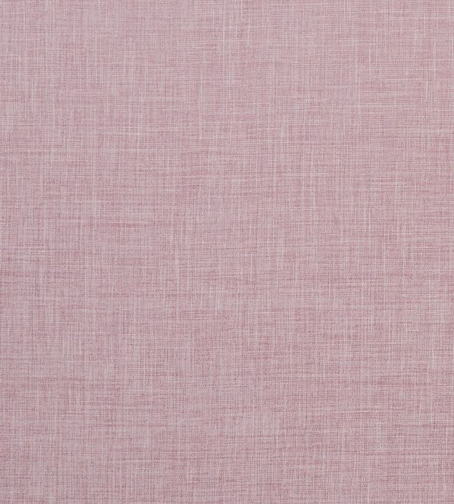 Albany Fabric by Clarke & Clarke Blush