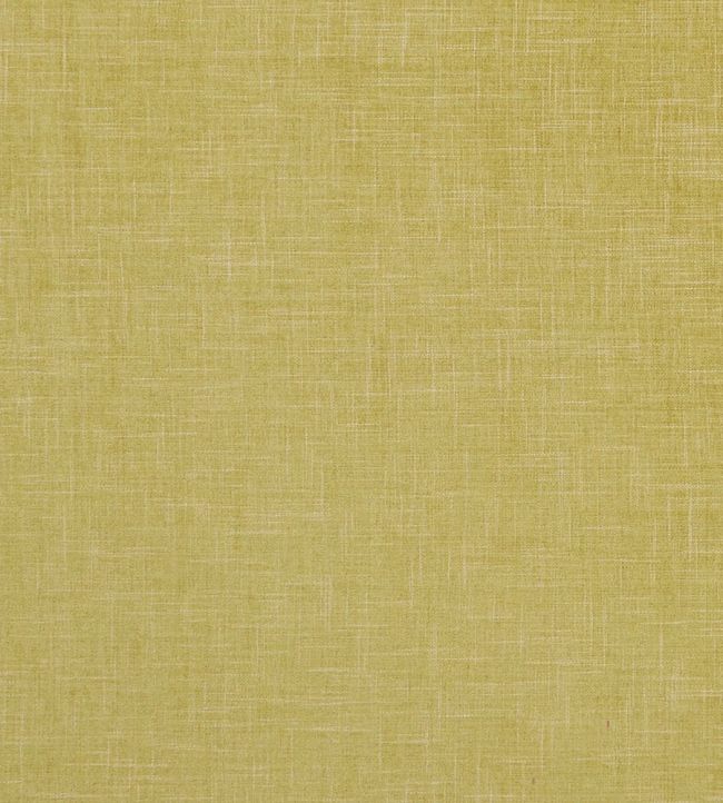 Albany Fabric by Clarke & Clarke Citron