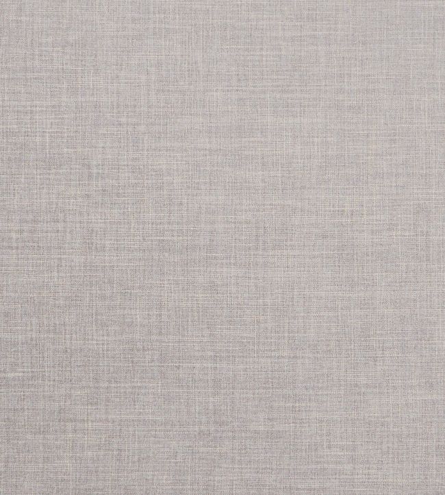 Albany Fabric by Clarke & Clarke Dove