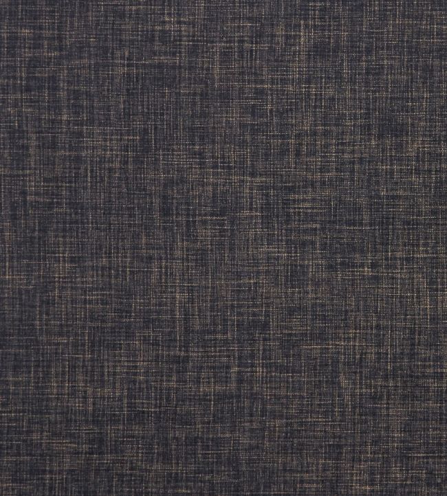 Albany Fabric by Clarke & Clarke Ebony