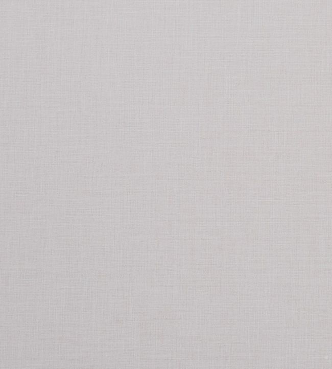 Albany Fabric by Clarke & Clarke Ivory