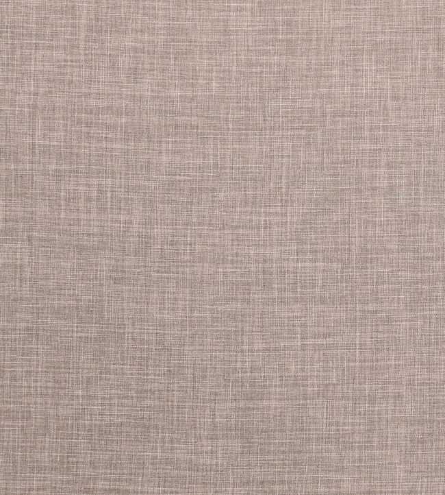 Albany Fabric by Clarke & Clarke Latte