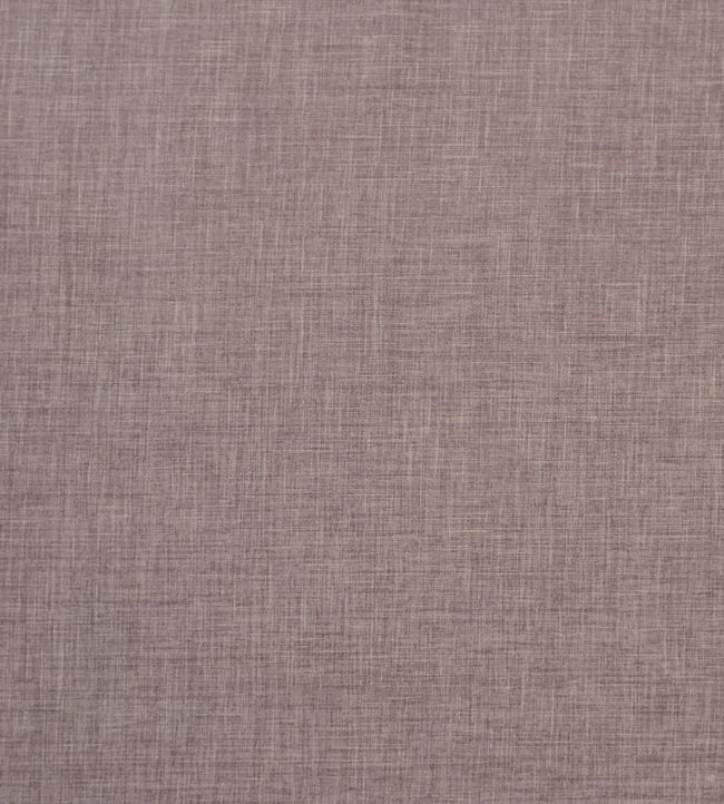 Albany Fabric by Clarke & Clarke Mocha