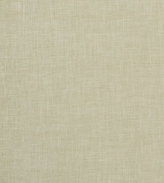 Albany Fabric by Clarke & Clarke Sage