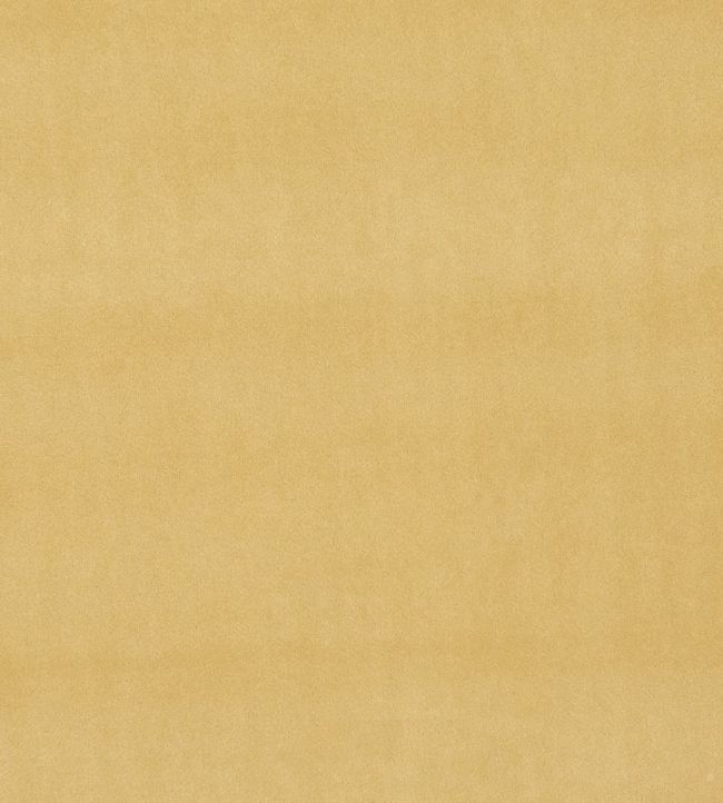Alvar Fabric by Clarke & Clarke Ochre