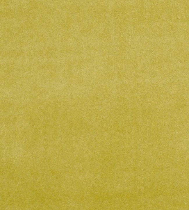 Alvar Fabric by Clarke & Clarke Olive