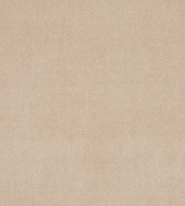 Alvar Fabric by Clarke & Clarke Sand