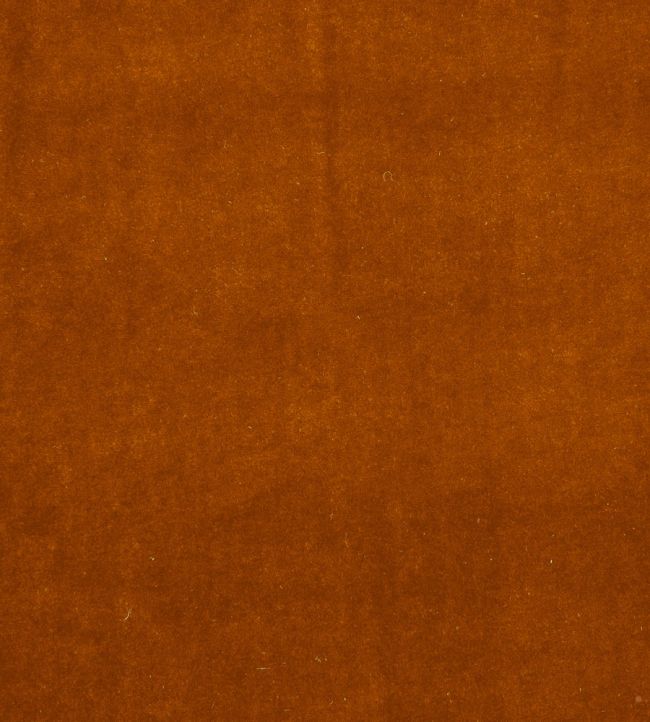 Alvar Fabric by Clarke & Clarke Amber