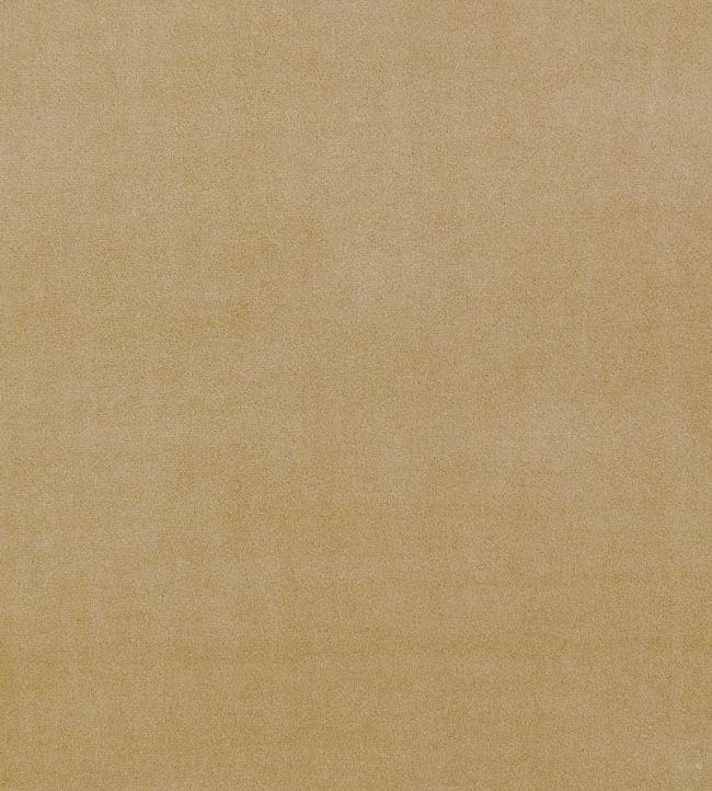Alvar Fabric by Clarke & Clarke Antique