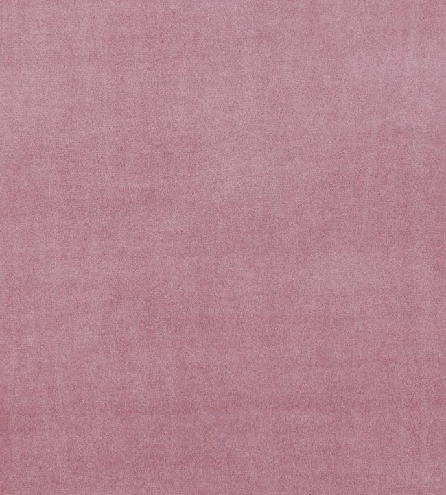 Alvar Fabric by Clarke & Clarke Blush