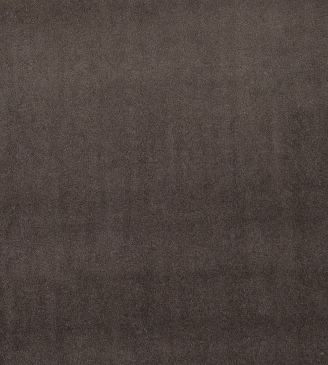 Alvar Fabric by Clarke & Clarke Bracken