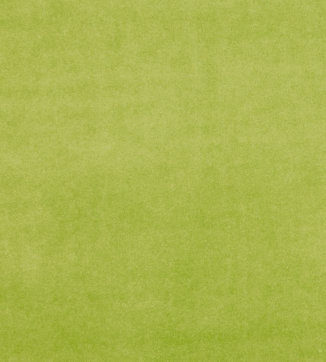 Alvar Fabric by Clarke & Clarke Citron